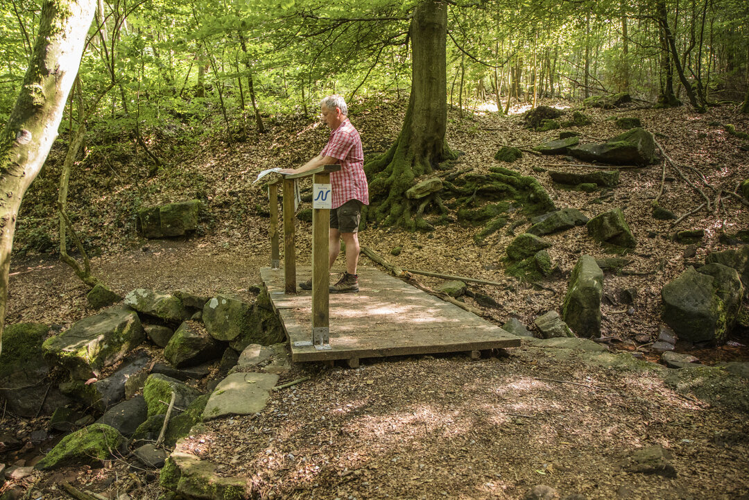 Wanderer auf dem Neckarsetig in Neckargemünd im Wald auf einer Brücke