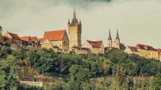 Bad Wimpfen Stadtansicht