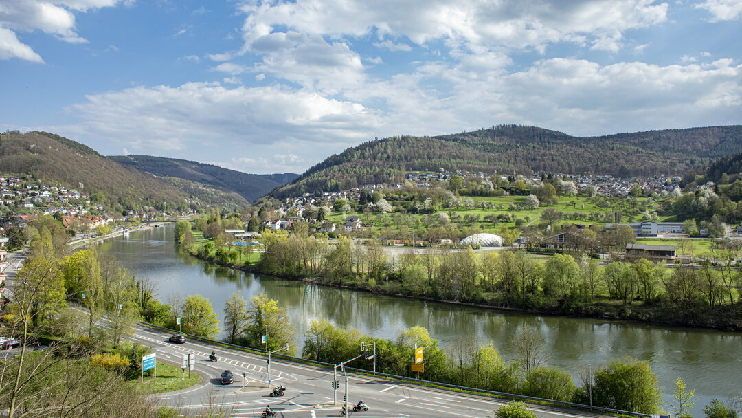 Neckarschleife bei Eberbach 