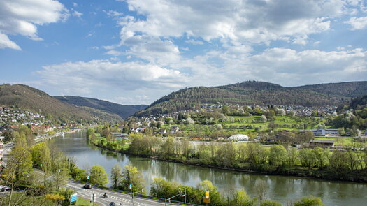 Neckarschleife bei Eberbach 