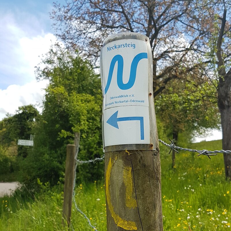 Neckarsteig Markierung am Pfosten aufgeklebt in der Natur